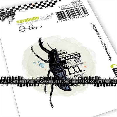 Tampon Mini : Entomologie : Le scarabée by Alexi